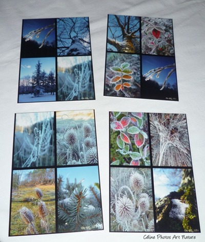 Cartes postales hiver de Céline Photos Art Nature