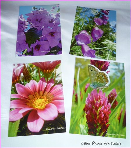 Cartes postales de Céline Photos Art Nature