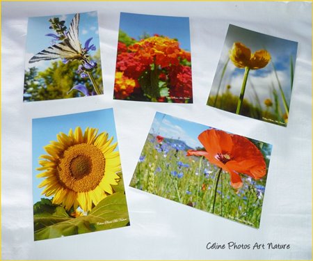 Cartes postales de Céline Photos Art Nature