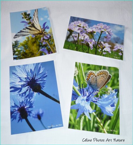 Cartes postales de Céline Photos Art Nature