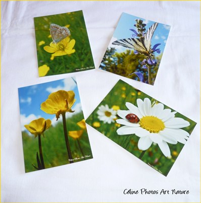 Cartes postales de Céline Photos Art Nature printemps 2014