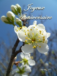 Carte double d`anniversaire de nature avec des fleurs de cerisier