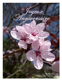 Carte double d`anniversaire de nature et de fleurs