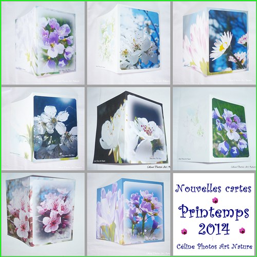 Combinaison des nouvelles cartes doubles du printemps 2014 de Céline Photos Art Nature faites main et personnalisables avec des photos de fleurs du printemps 2014.