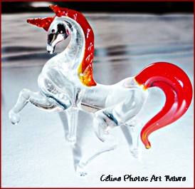 Licorne de Céline Photos Art Nature