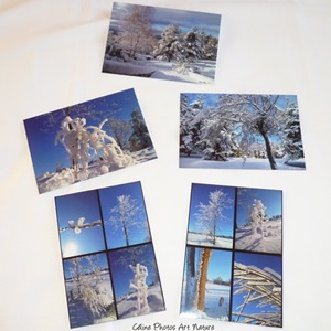 Lot de 5 cartes postales de Céline Photos Art Nature sur la neige