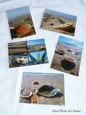 Lot de 5 cartes postales de Céline Photos Art Nature sur la mer