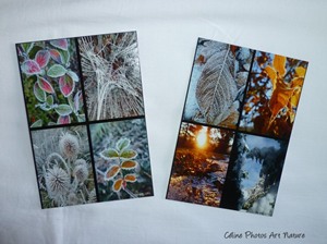 Lot de 5 cartes postales de Céline Photos Art Nature sur l`hiver