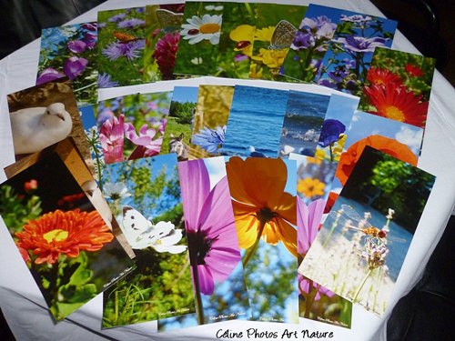 Lot de 50 cartes postales panoramiques de Céline Photos Art Nature