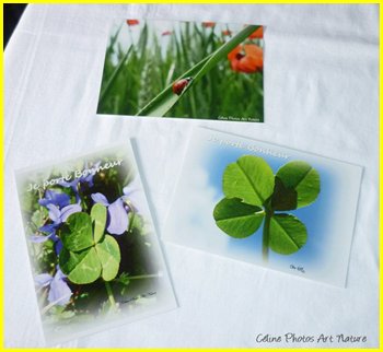 Lot de 3 cartes postales 2014 de Céline Photos Art Nature