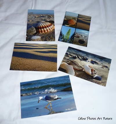 Lot de 5 cartes postales de Céline Photos Art Nature sur la mer en hiver