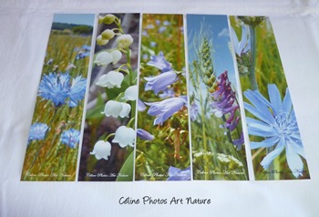 Marque-pages avec les photos de Céline Photos Art Nature sur l`été