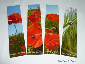 Marque-pages avec les photos de Céline Photos Art Nature avec des coquelicots et une coccinelle