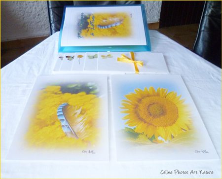 Papier à lettres soleil de Céline Photos Art Nature