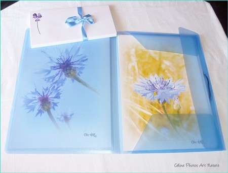 Papier à lettres Bleuets de Céline Photos Art Nature