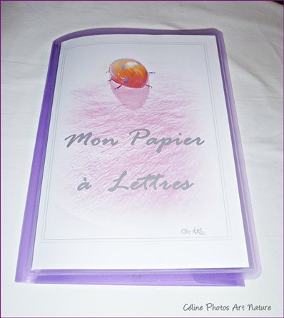 Papier à lettres Fleurs de roses de Céline Photos Art Nature 