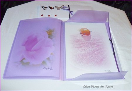 Papier à lettres Fleurs de roses de Céline Photos Art Nature 