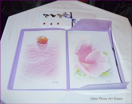 Papier à lettres Fleurs de roses de Céline Photos Art Nature 