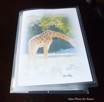 Papier à lettres Girafes de Céline Photos Art Nature 