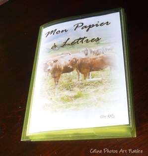 Papier à lettres Les vaches de Céline Photos Art Nature