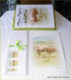 Papier à lettres Les vaches de Céline Photos Art Nature