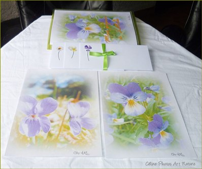 Papier à lettres Pensées et Violettes de Céline Photos Art Nature