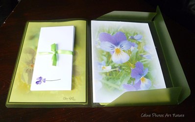 Papier à lettres Pensées et Violettes de Céline Photos Art Nature