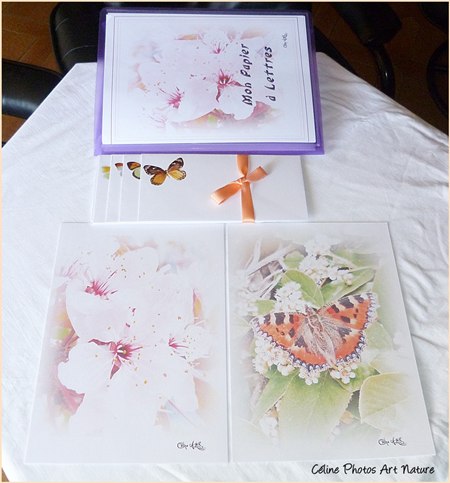 Papier à lettres Un air japonais de Céline Photos Art Nature