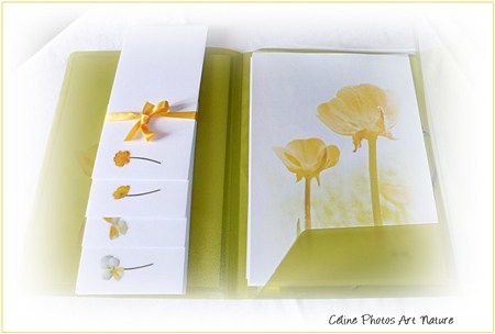Papier à lettres Boutons d`or de Céline Photos Art Nature