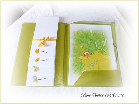 Papier à lettres Boutons d`or de Céline Photos Art Nature