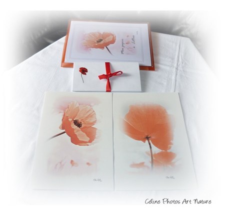 Papier à lettres coquelicot de Céline Photos Art Nature