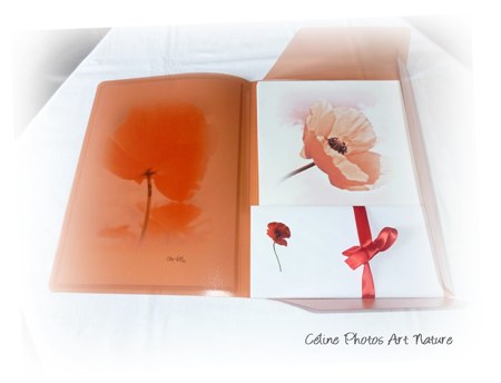 Papier à lettres coquelicot de Céline Photos Art Nature