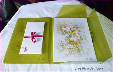 Papier à lettres fleurs de pommiers de Céline Photos Art nature