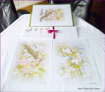 Papier à lettres fleurs de pommiers de Céline Photos Art nature