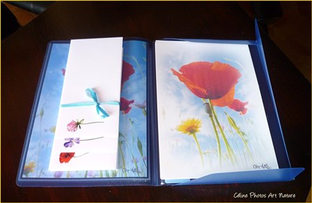 Papier à lettres Fleurs des champs de Céline Photos Art Nature