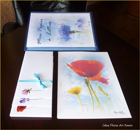 Papier à lettres Fleurs des champs de Céline Photos Art Nature