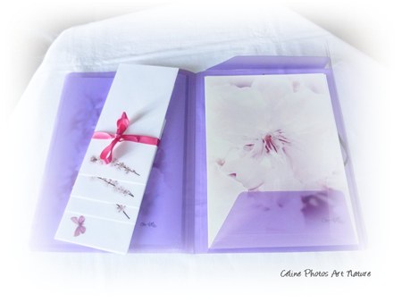 Papier à lettres fleurs roses de Céline Photos Art Nature
