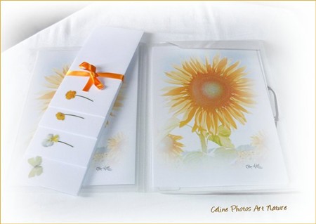 Papier à lettres soleil de Céline Photos Art Nature