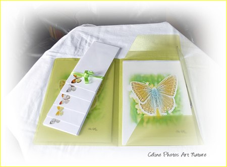 Papier à lettres vert anis de Céline Photos Art Nature