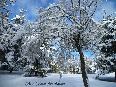 Paysage de neige de Céline Photos Art Nature