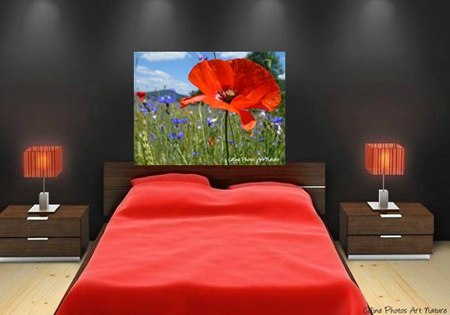 Tirage photographique 75x50cm d`une photo de coquelicots et bleuets de Céline photos Art Nature