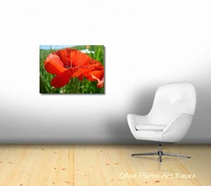 Poster de coquelicots