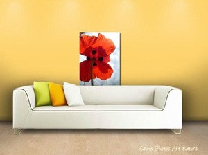 Poster de coquelicot