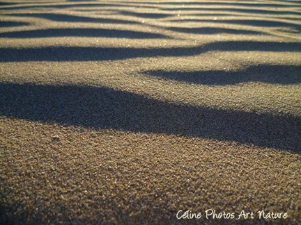 Photo de plage et de bord de mer en hiver de Céline Photos Art Nature