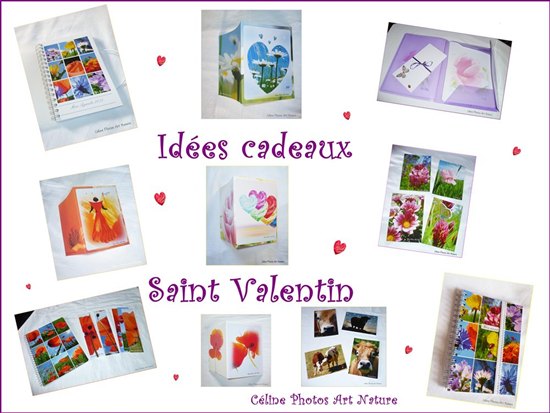 Saint Valentin 2015 chez Céline Photos Art Nature