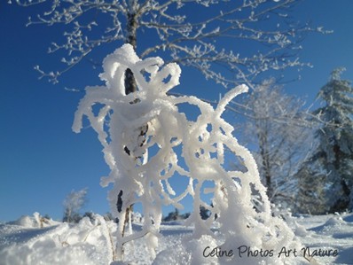 Sculpture naturelle de neige dans un paysage d`hiver,photographie de Céline Photos Art Nature